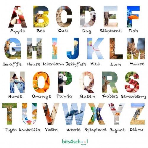 English Alphabet with real objects - Classroom Decoration (Download)
