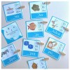 Greek Spelling Confusion Cards - Part C (ζ/ξ/ψ/σ) (Download)