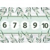 Αριθμογραμμή 1-100 Ελιά (Ψηφιακό προϊόν)